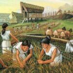 A Brief History of Agriculture in BC and Around the World 1024x480 1