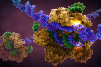 Art of the Cell CRISPR Cas9 in Complex with Guide RNA and target DNA.jpg