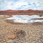 why water topics present at launch water scarcity